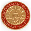 Picture of 14KY CSU Channel Islands BSN Pin