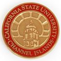 Picture of Gold Plate CSU Channel Islands BSN Pin